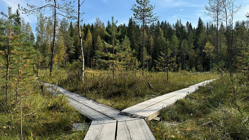 FOLGEANGEBOT - WELL BEING - BACK TO WELL BEING - BURGARD