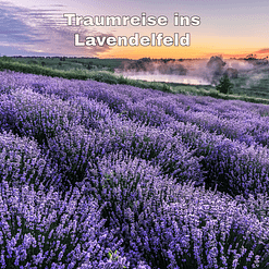 Audio: Traumreise ins Lavendelfeld